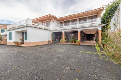 /international/pt/camacha-madeira-310107921403/