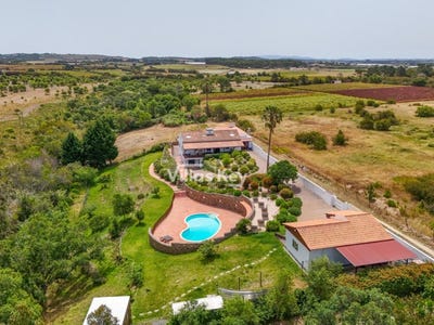 /international/pt/sao-teotonio-beja-310108158465/