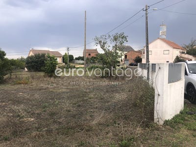 /international/pt/colmeias-e-memoria-leiria-leiria-310108968032/?lang=th