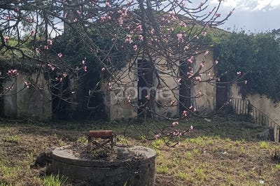 /international/pt/oliveira-de-azemeis-aveiro-310106592152/
