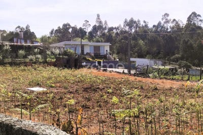 /international/pt/vila-nova-de-famalicao-braga-310098810332/