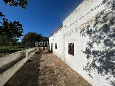 /international/pt/silves-faro-120096361188/