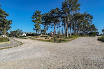 /international/pt/sesimbra-castelo-setubal-municipality-310100962514/?lang=fr