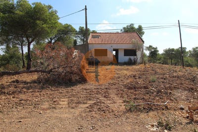 /international/pt/faro-faro-310096372247/
