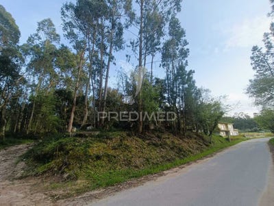 /international/pt/gondemaria-e-olival-ourem-santarem-310098804793/