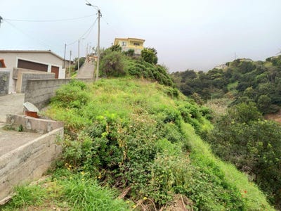 /international/pt/sitio-da-canavieira-larano-ilha-da-madeira-madeira-310105106080/