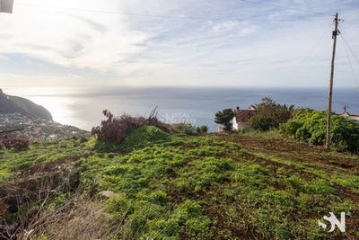 /international/pt/calheta-azores-310102849497/