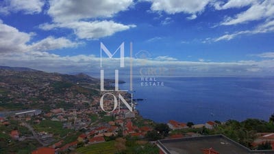/international/pt/camara-de-lobos-madeira-310107360799/