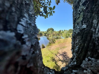 /international/pt/figueira-dos-cavaleiros-beja-310109023204/