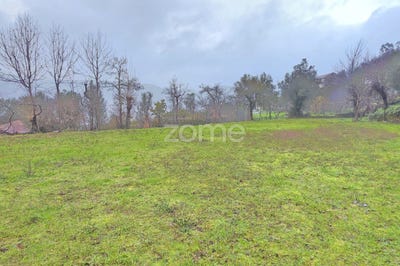 /international/pt/vila-verde-braganca-310105242334/