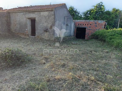 /international/pt/rolica-bombarral-leiria-310106398736/
