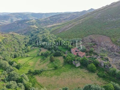 /international/pt/vila-real-nossa-senhora-da-conceio-sao-pedro-e-vila-real-310108652732/