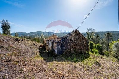 /international/pt/celorico-de-basto-braga-310106286919/