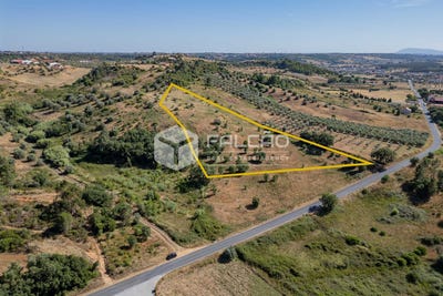 /international/pt/santarem-santarem-310101559527/