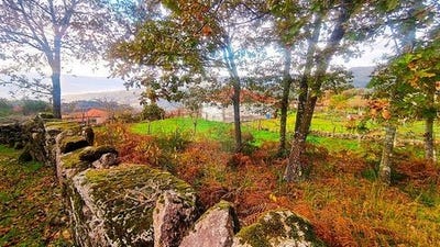 /international/pt/arcos-de-valdevez-viana-do-castelo-310106287276/
