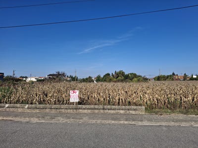 /international/pt/aveiro-aveiro-310102634154/