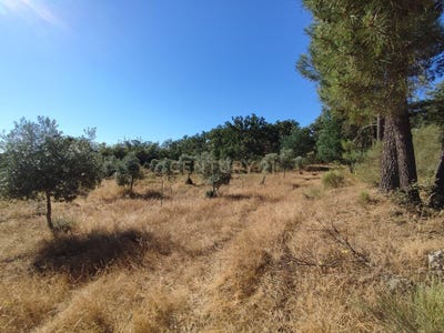 /international/pt/castelo-branco-portugal-castelo-branco-braganca-310105230336/