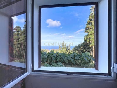 /international/pt/rua-maranhao-de-cima-11-9545-335-santa-barbara-portugal-ilha-de-sao-miguel-azores-310107523871/