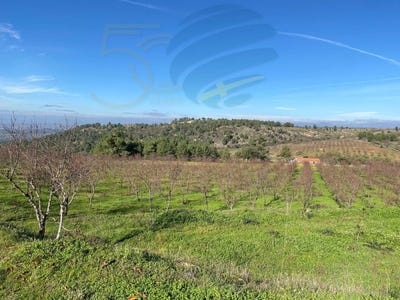 /international/pt/felgar-e-souto-da-velha-braganca-district-310102129482/