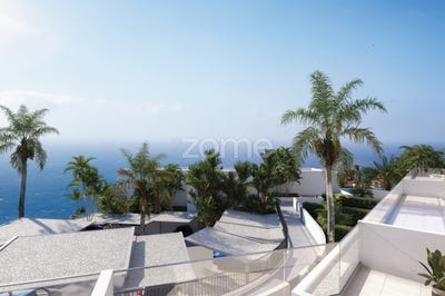 /international/pt/calheta-madeira-madeira-310106046169/