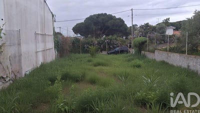 /international/pt/setubal-setubal-municipality-310107420251/