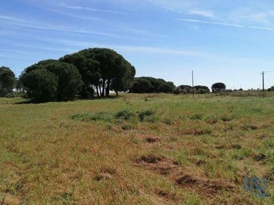 /international/pt/montijo-setubal-municipality-120094740889/