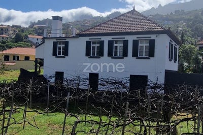 /international/pt/sao-vicente-madeira-310100671540/