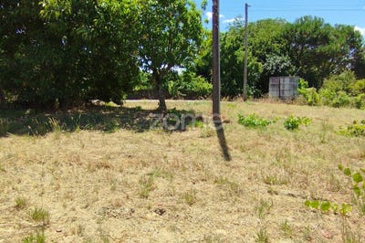 /international/pt/pombal-braga-310101105060/