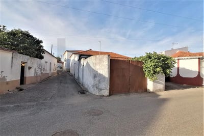 /international/pt/romeira-madeira-310100573080/