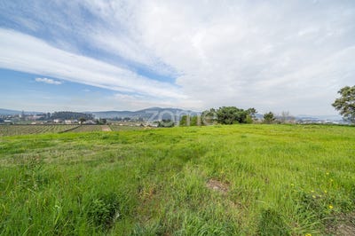 /international/pt/barcelos-braga-310099284728/?lang=zh-cn