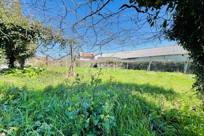/international/pt/vila-nova-de-famalicao-braga-310098315235/?lang=zh-cn