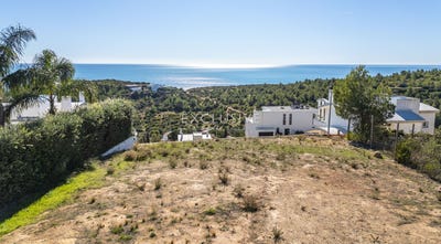 /international/pt/faro-faro-310104113913/