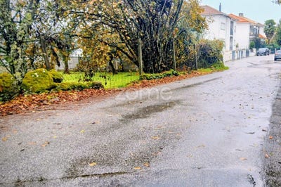 /international/pt/viseu-viseu-310104039826/