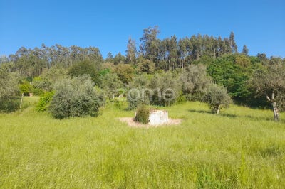 /international/pt/alvaiazere-leiria-120084239316/