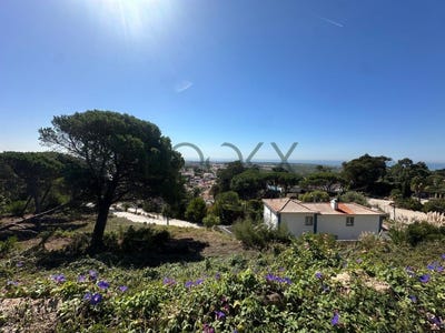 /international/pt/alcabideche-lisbon-310107625761/