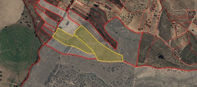 /international/pt/malhadil-touloes-castelo-branco-120092976111/