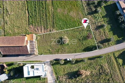 /international/pt/soure-coimbra-310097032957/