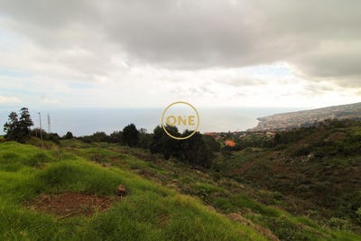/international/pt/santa-cruz-madeira-310108154705/