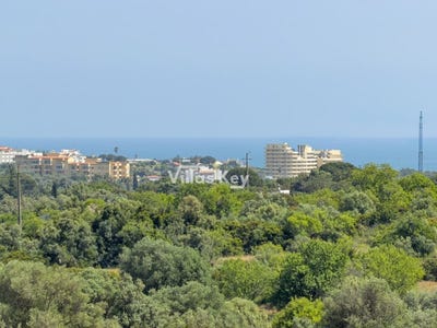 /international/pt/alvor-viana-do-castelo-310107675577/