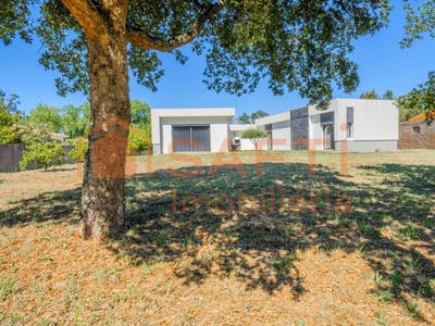 /international/pt/pataias-leiria-310100829553/