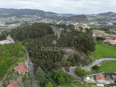 /international/pt/polvoreira-guimaraes-braga-310095140484/