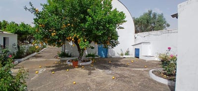 /international/pt/santa-vitoria-e-mombeja-beja-district-120092975913/
