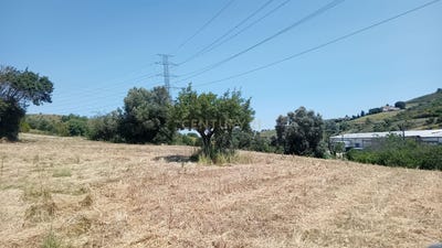 /international/pt/alhandra-lisbon-310094781680/