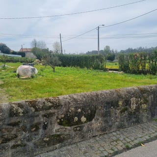 /international/pt/rua-de-mangualde-grimancelos-braga-310099846497/