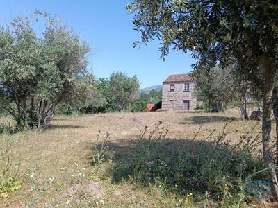/international/pt/vinho-guarda-310101182647/?lang=zh-cn