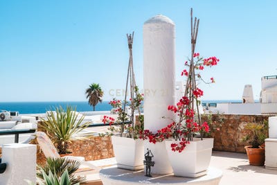 /international/pt/porches-faro-310097523576/