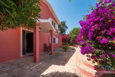 /international/pt/faro-faro-310100958539/?lang=fr