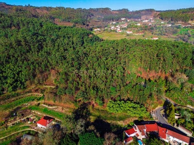 /international/pt/passos-vila-verde-dossaos-portugal-dossaos-braga-310105011711/
