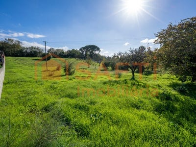 /international/pt/maceira-lisbon-310100490658/?lang=zh-cn