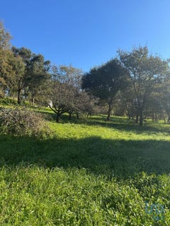 /international/pt/leiria-leiria-310097952312/